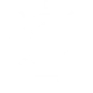 Iridium New Developments And Services Iridium New Developments And Services