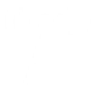 White SATbill Signal icon